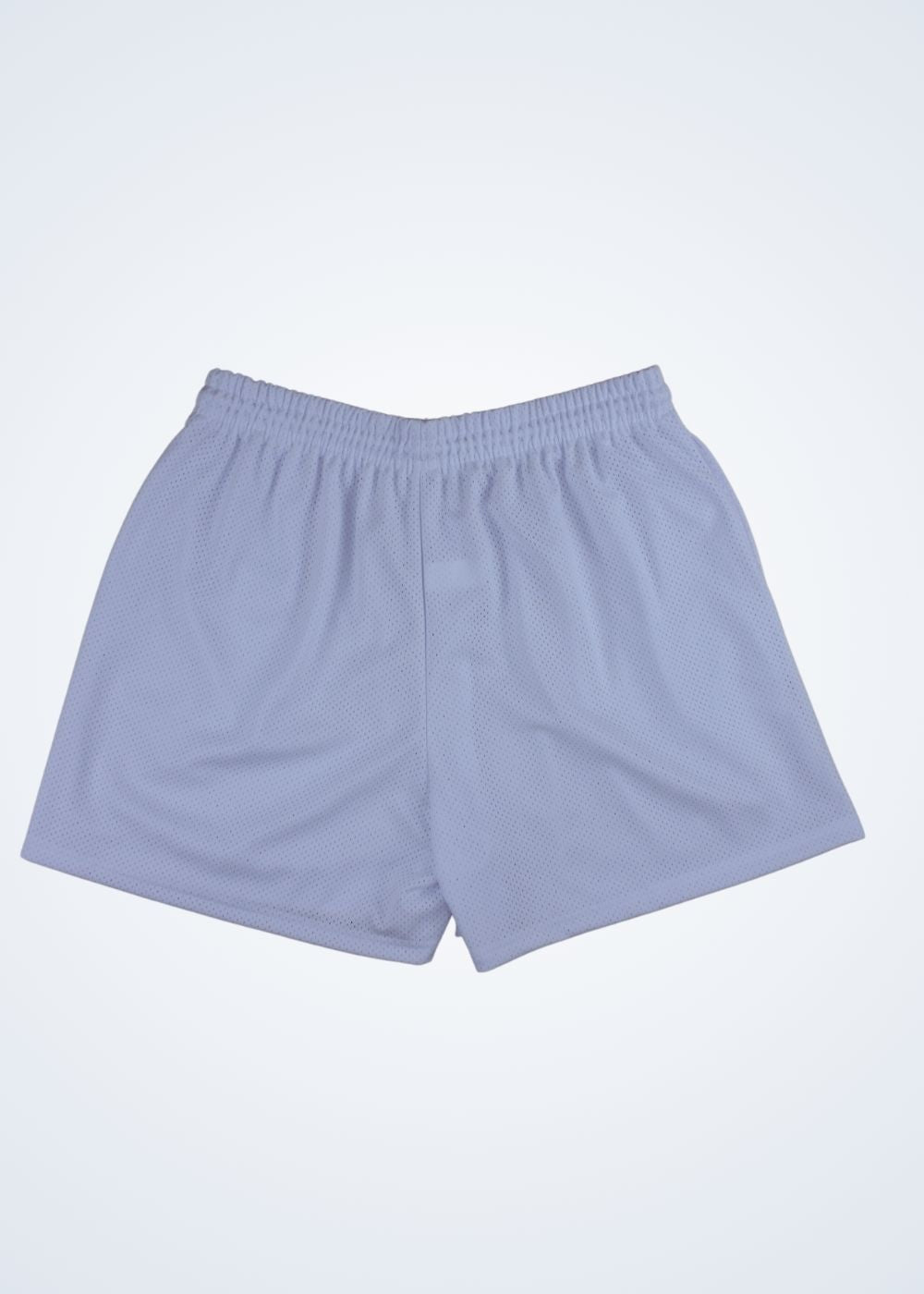 SSW Blanks - Mesh Shorts