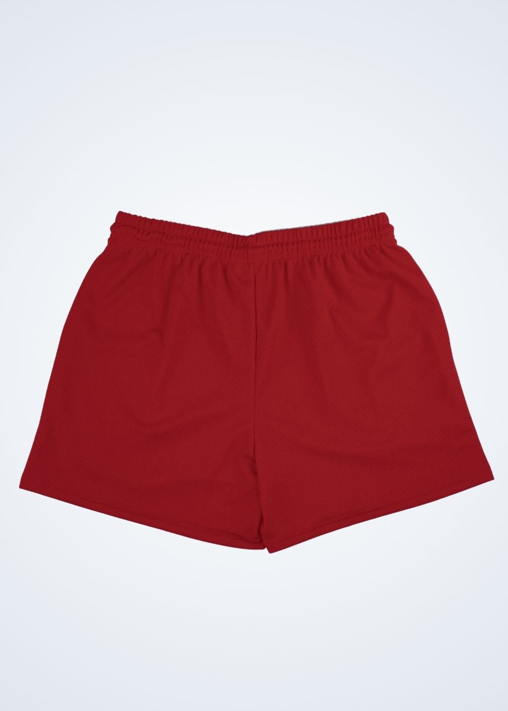 SSW Blanks - Mesh Shorts