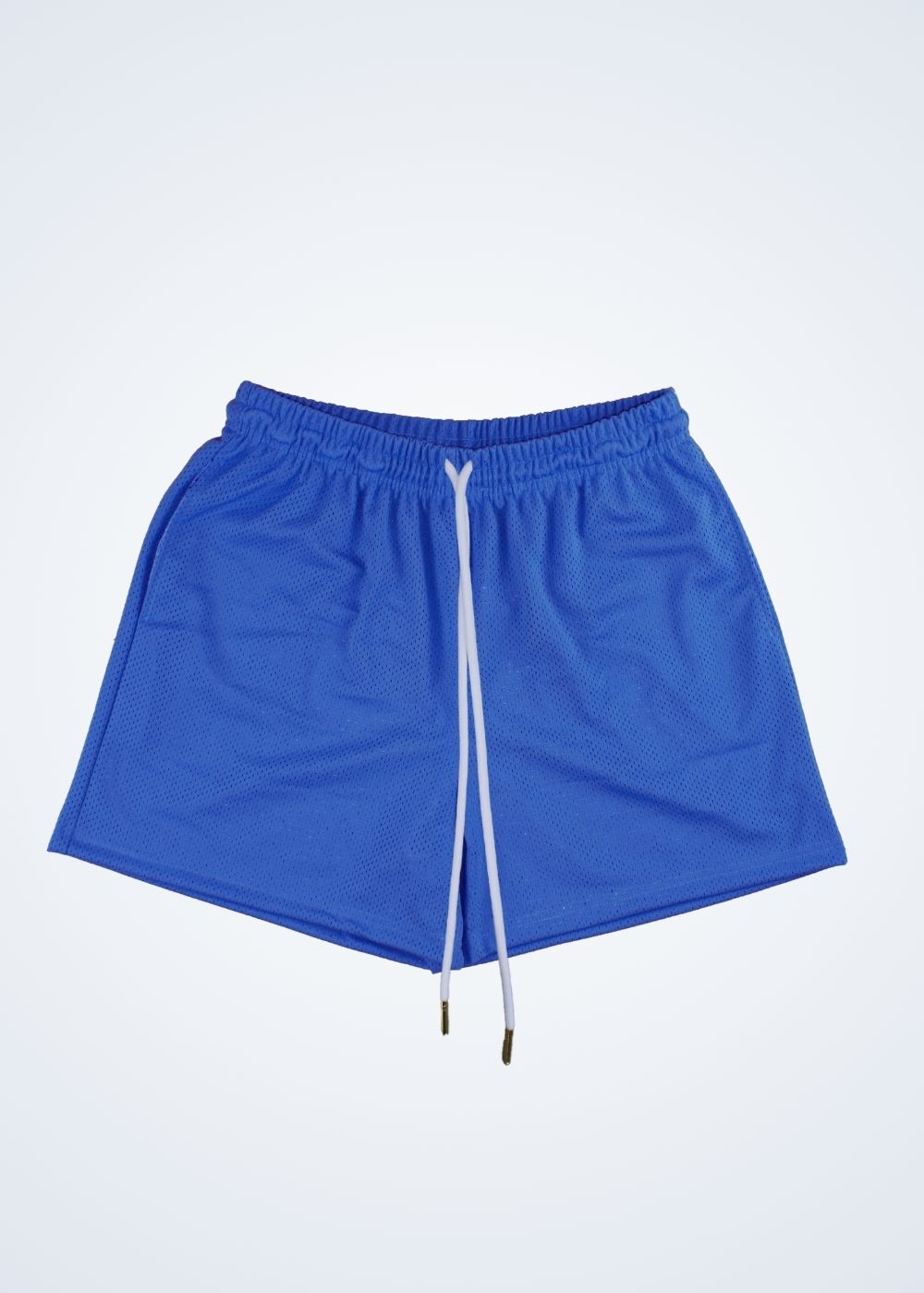 SSW Blanks - Mesh Shorts