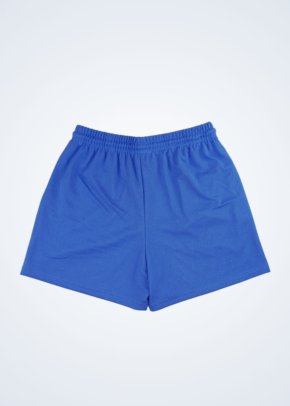 SSW Blanks - Mesh Shorts