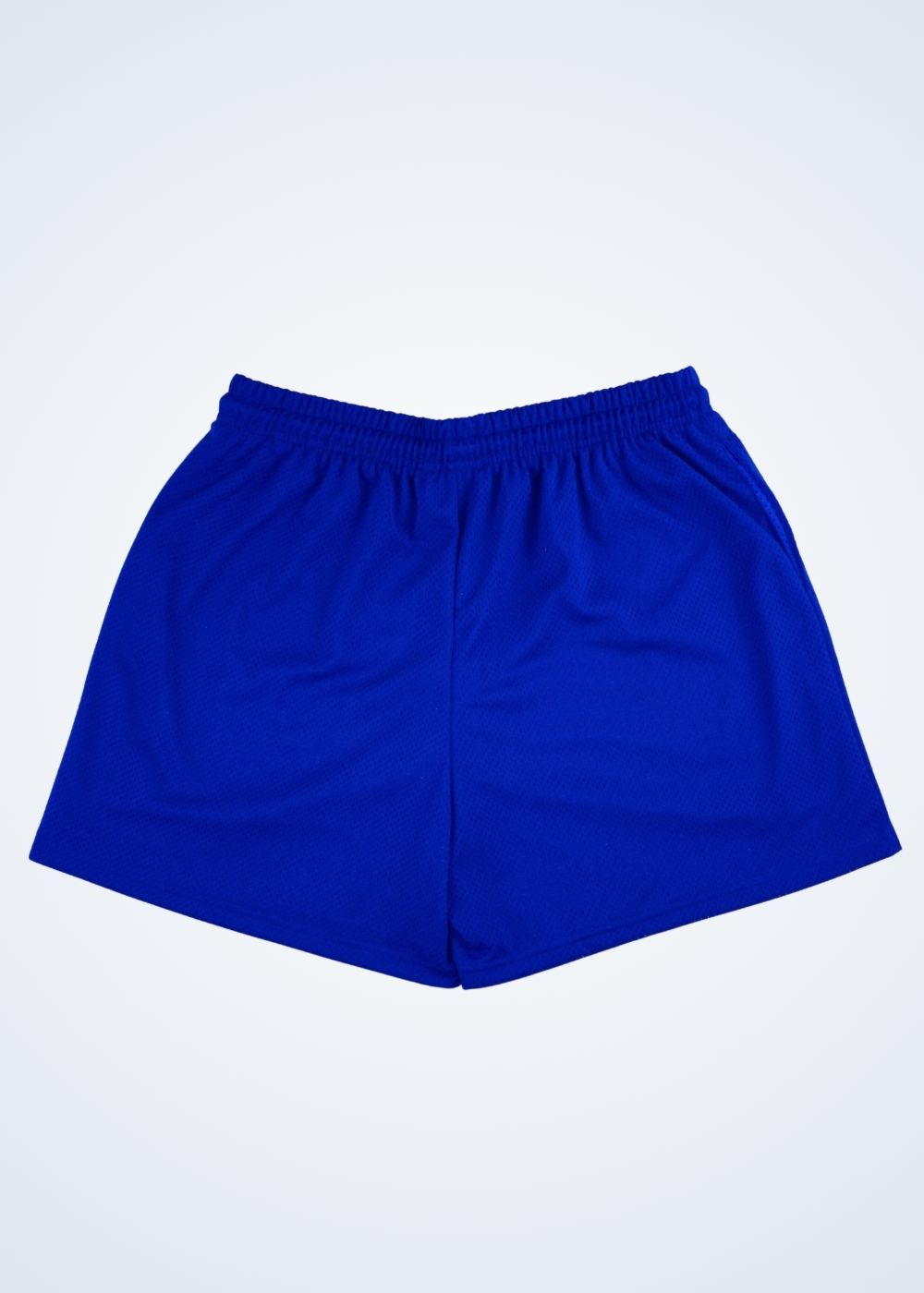 SSW Blanks - Mesh Shorts