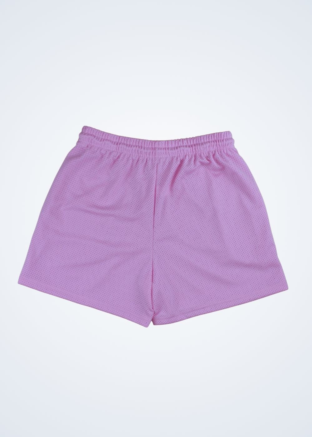 SSW Blanks - Mesh Shorts