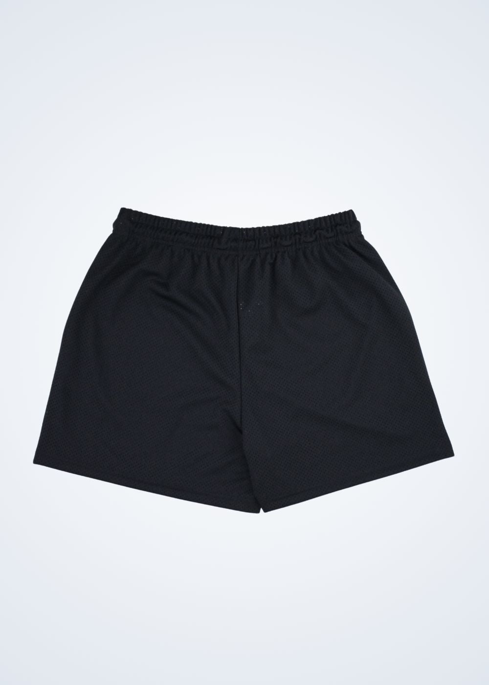 SSW Blanks - Mesh Shorts